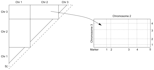 Efficient algorithms for multidimensional global optimization in genetic mapping of complex traits.