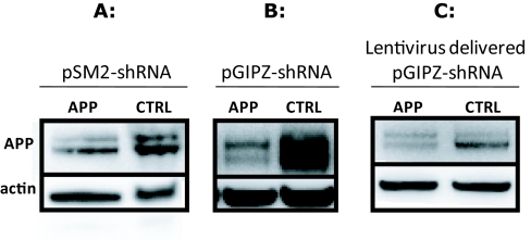 A streamlined sub-cloning procedure to transfer shRNA from a pSM2 vector to a pGIPZ lentiviral vector.