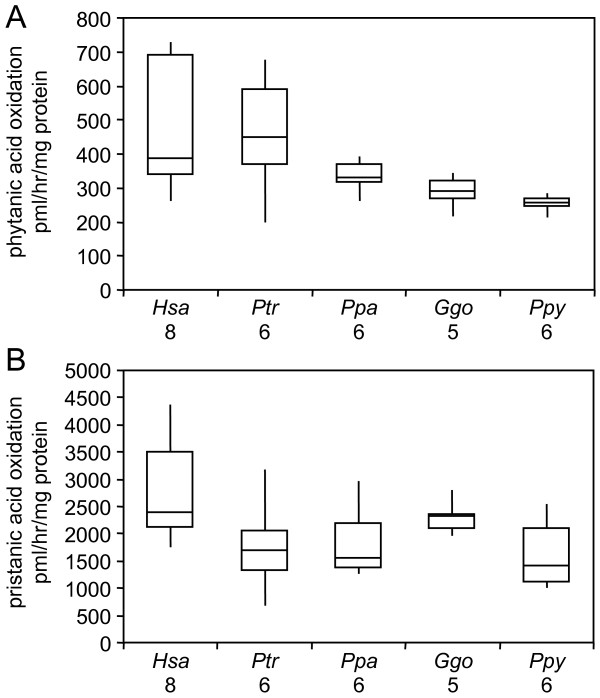 Identification of differences in human and great ape phytanic acid metabolism that could influence gene expression profiles and physiological functions.