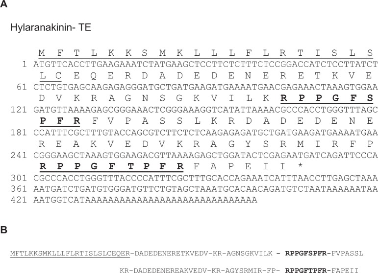 Molecular Cloning of a Novel Bradykinin-Related Peptide from the Skin of Indian Bronzed Frog Hylarana Temporalis.