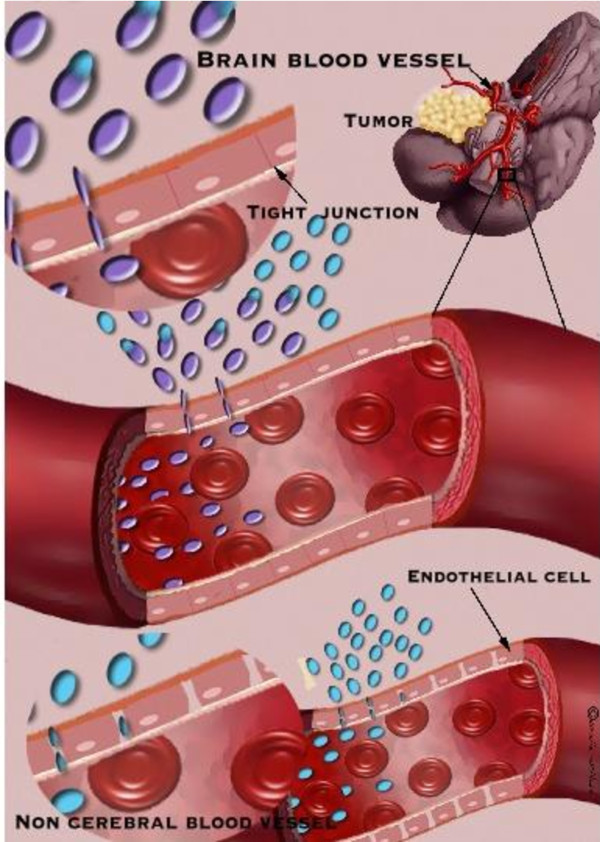 Nano to micro delivery systems: targeting angiogenesis in brain tumors.