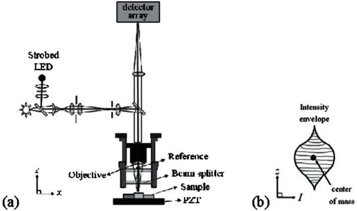 MEMS Young's Modulus and Step Height Measurements With Round Robin Results.