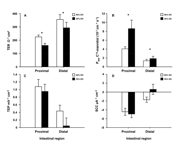 Intestinal barrier function of Atlantic salmon (Salmo salar L.) post smolts is reduced by common sea cage environments and suggested as a possible physiological welfare indicator.