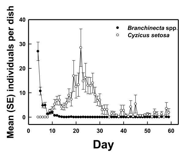 Fairy, tadpole, and clam shrimps (Branchiopoda) in seasonally inundated clay pans in the western Mojave Desert and effect on primary producers.