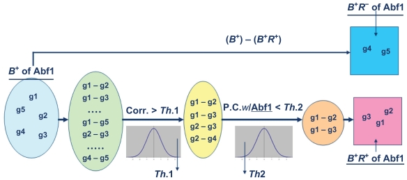 Identifying a Transcription Factor's Regulatory Targets from its Binding Targets.