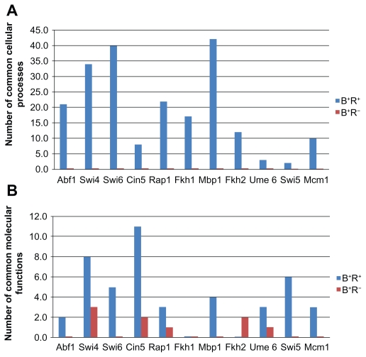 Identifying a Transcription Factor's Regulatory Targets from its Binding Targets.