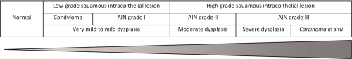 HIV-associated anal cancer.