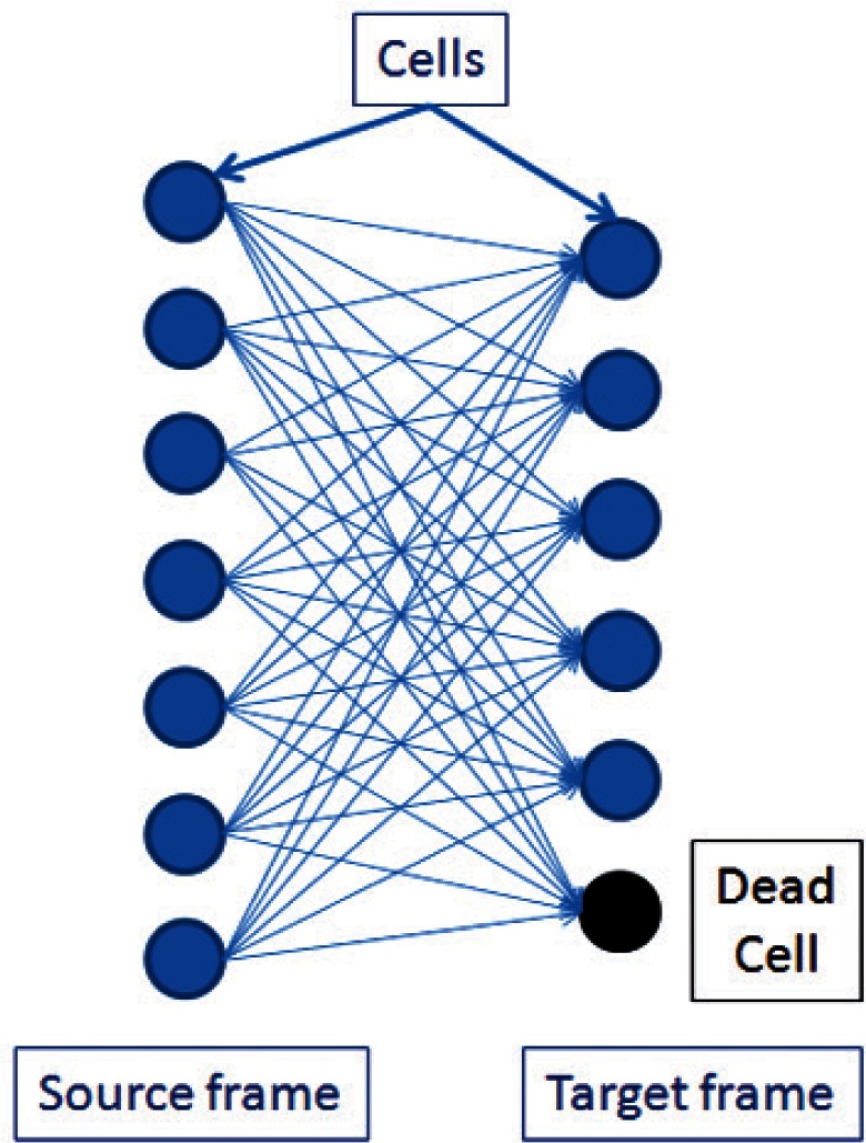 Overlap-Based Cell Tracker.