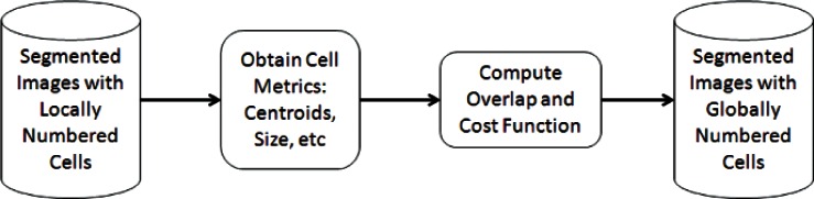 Overlap-Based Cell Tracker.