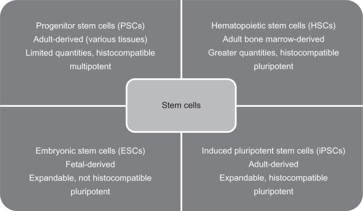 Emerging options for the management of age-related macular degeneration with stem cells.