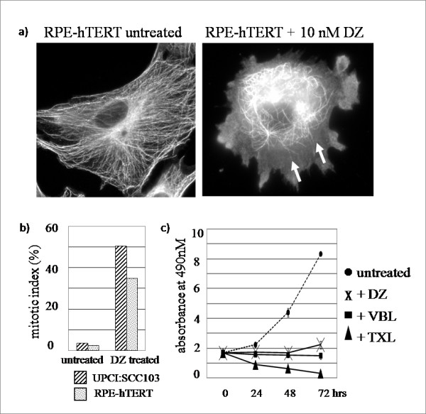 Mitotic slippage in non-cancer cells induced by a microtubule disruptor, disorazole C1.