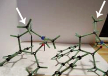 Stereochemical basis for a unified structure activity theory of aromatic and heterocyclic rings in selected opioids and opioid peptides.