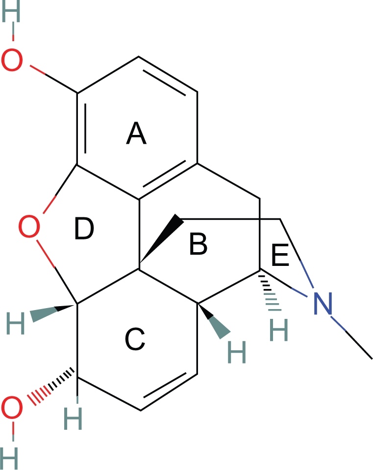 Stereochemical basis for a unified structure activity theory of aromatic and heterocyclic rings in selected opioids and opioid peptides.