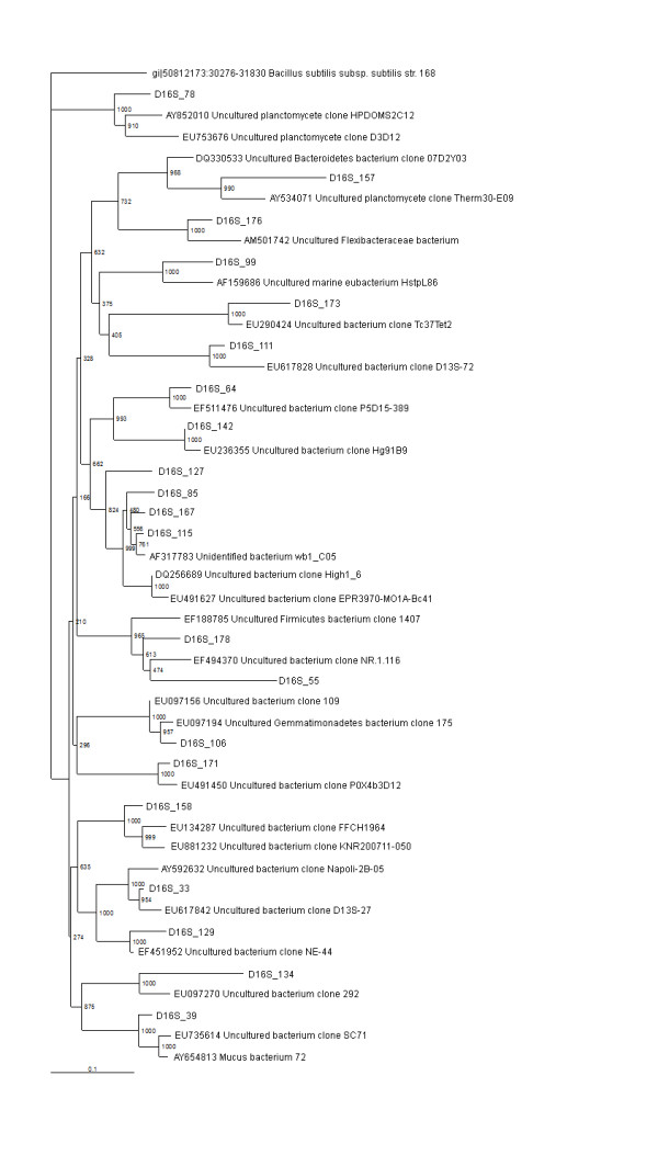 Culture independent molecular analysis of bacterial communities in the mangrove sediment of Sundarban, India.