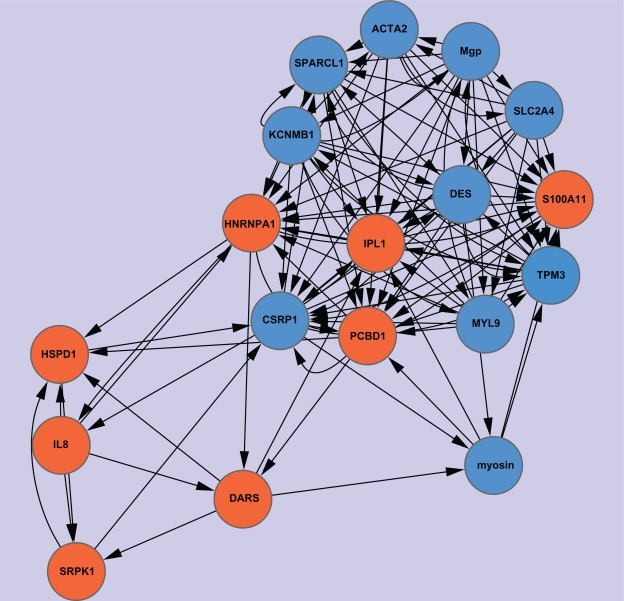 Inference of cancer-specific gene regulatory networks using soft computing rules.