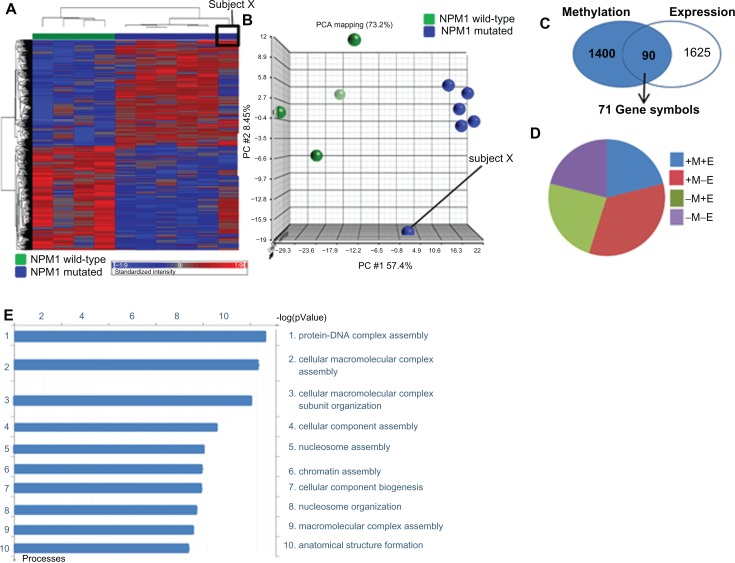 Identification of gene networks associated with acute myeloid leukemia by comparative molecular methylation and expression profiling.