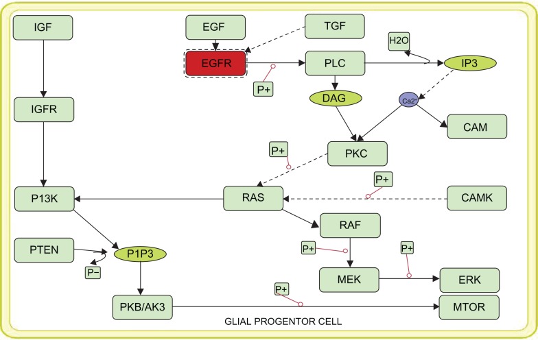 A novel strategy for mechanism based computational drug discovery.