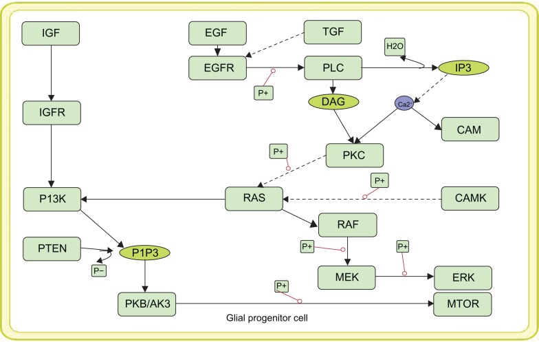 A novel strategy for mechanism based computational drug discovery.