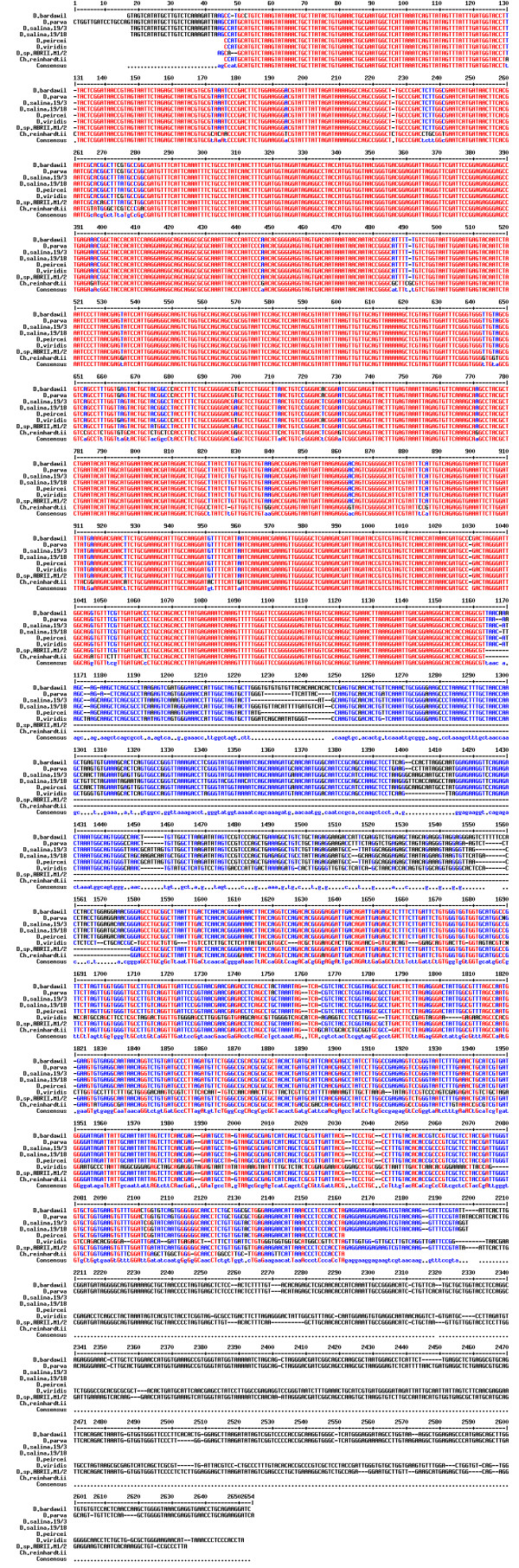 Introduction of a novel 18S rDNA gene arrangement along with distinct ITS region in the saline water microalga Dunaliella.