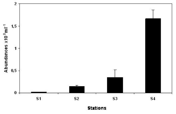 Prokaryotic aminopeptidase activity along a continuous salinity gradient in a hypersaline coastal lagoon (the Coorong, South Australia).