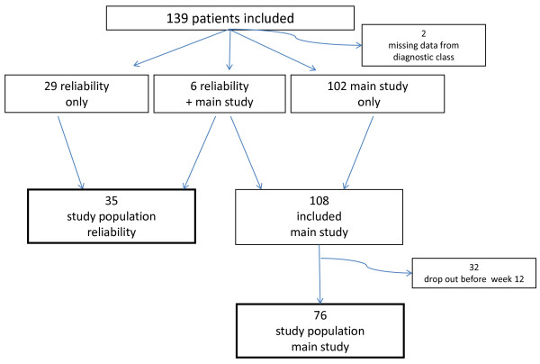 The Nordic back pain subpopulation program: can low back pain patterns be predicted from the first consultation with a chiropractor? A longitudinal pilot study.