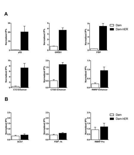 DamIP: a novel method to identify DNA binding sites in vivo.