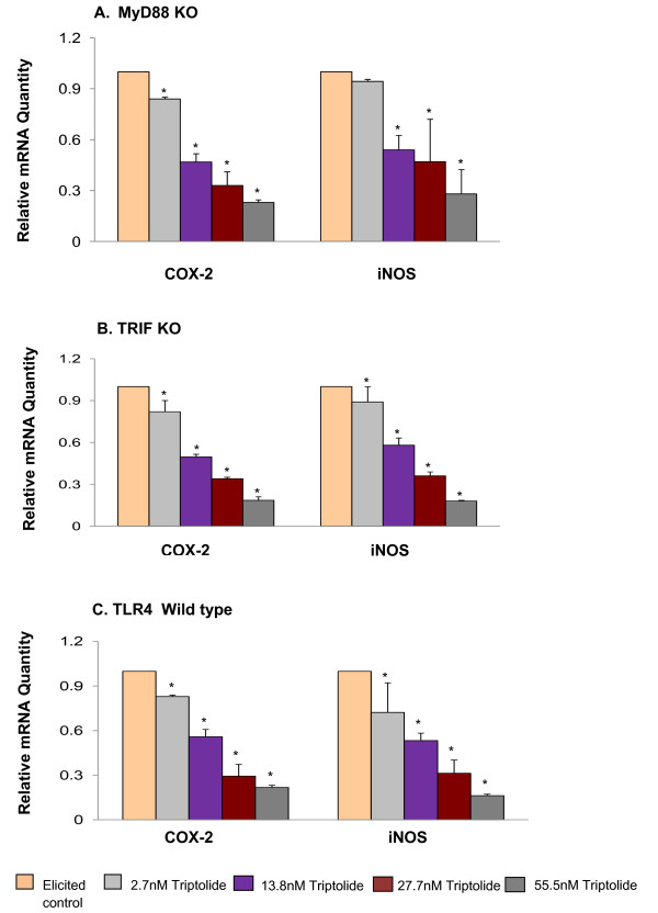 MyD88-dependent and independent pathways of Toll-Like Receptors are engaged in biological activity of Triptolide in ligand-stimulated macrophages.