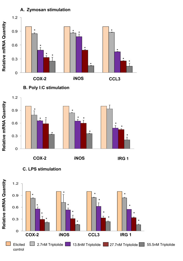 MyD88-dependent and independent pathways of Toll-Like Receptors are engaged in biological activity of Triptolide in ligand-stimulated macrophages.