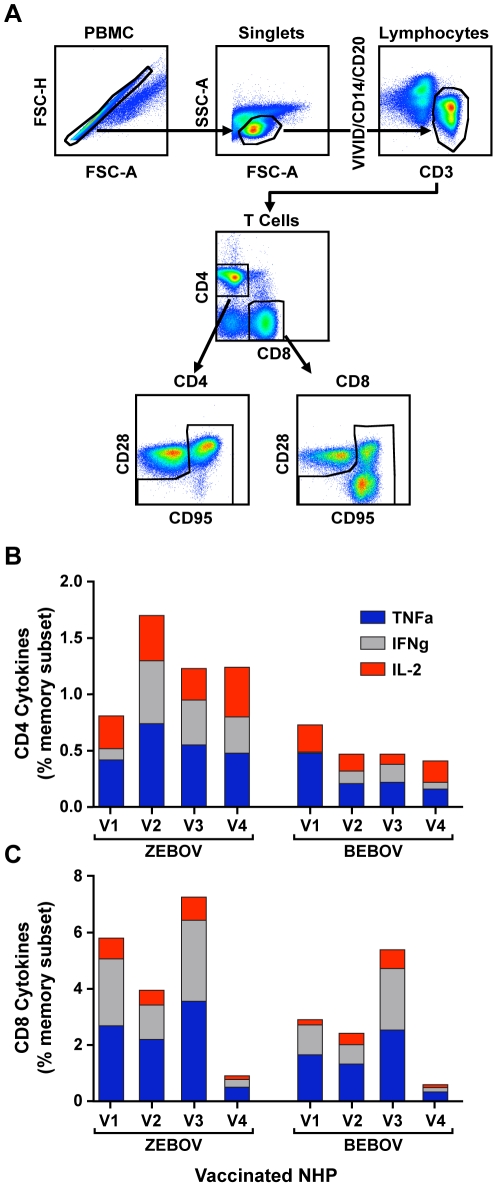 Demonstration of cross-protective vaccine immunity against an emerging pathogenic Ebolavirus Species.