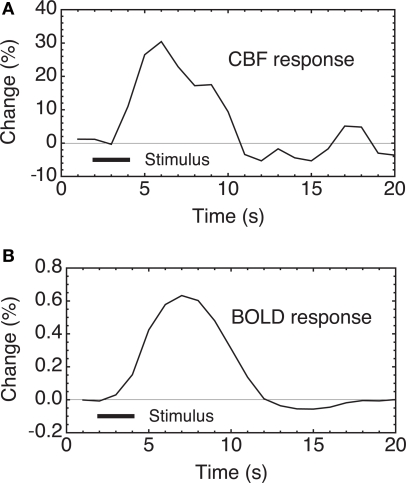 Interpreting oxygenation-based neuroimaging signals: the importance and the challenge of understanding brain oxygen metabolism.