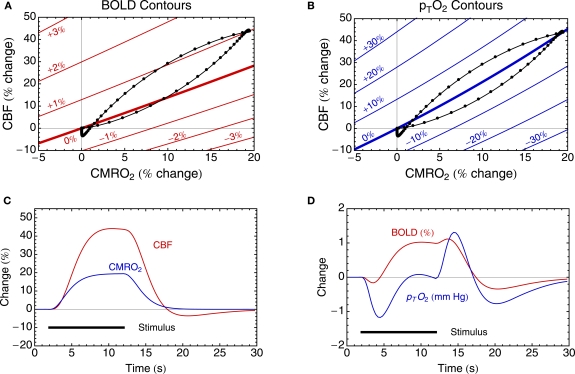 Interpreting oxygenation-based neuroimaging signals: the importance and the challenge of understanding brain oxygen metabolism.