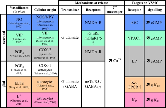 Revisiting the role of neurons in neurovascular coupling.