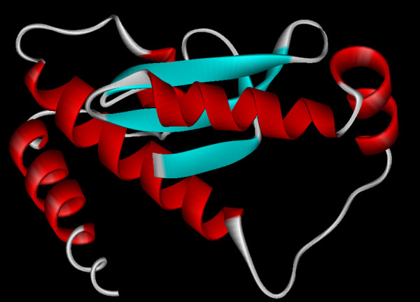 Characterization of manganese superoxide dismutase from a marine cyanobacterium Leptolyngbya valderiana BDU20041.