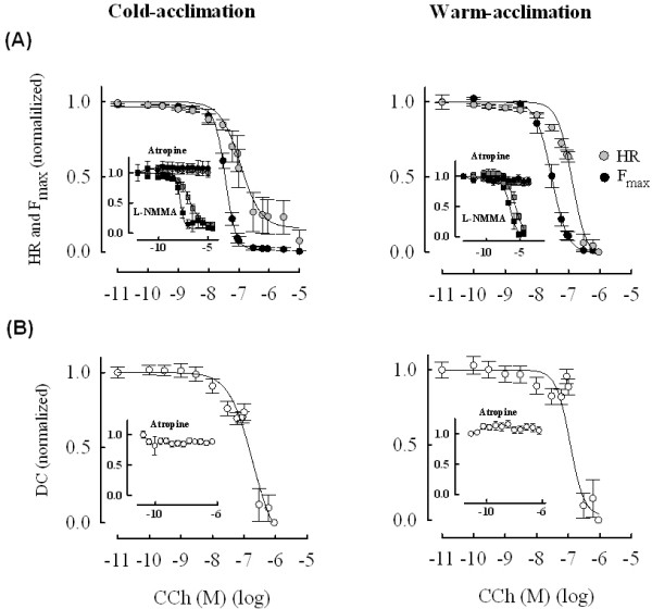 Sinoatrial tissue of crucian carp heart has only negative contractile responses to autonomic agonists.