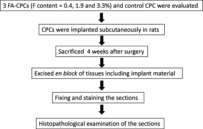 In Vitro and in Vivo Characteristics of Fluorapatite-Forming Calcium Phosphate Cements.