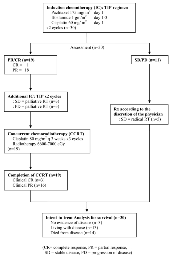 Induction chemotherapy with paclitaxel, ifosfamide, and cisplatin followed by concurrent chemoradiotherapy for unresectable locally advanced head and neck cancer.