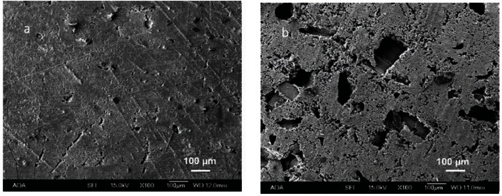 Effects of Addition of Mannitol Crystals on the Porosity and Dissolution Rates of a Calcium Phosphate Cement.