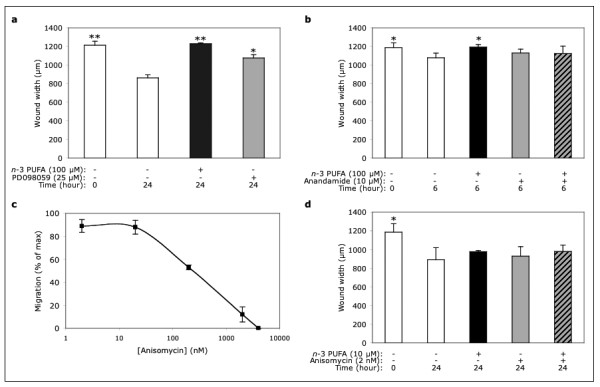 Eicosapentaenoic acid inhibits endothelial cell migration in vitro.