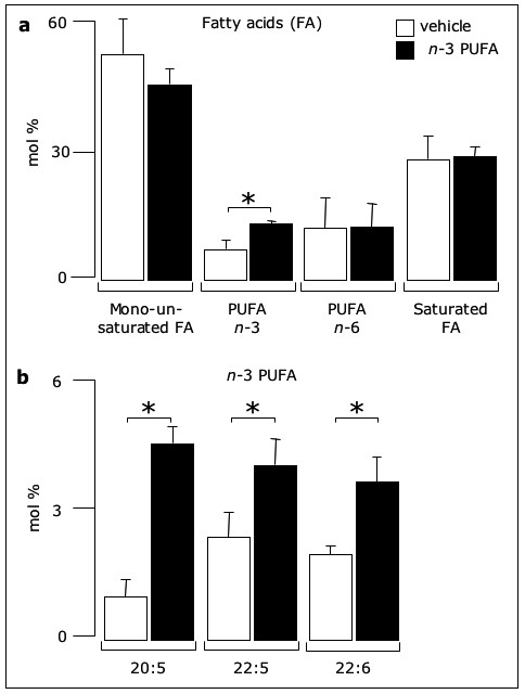 Eicosapentaenoic acid inhibits endothelial cell migration in vitro.