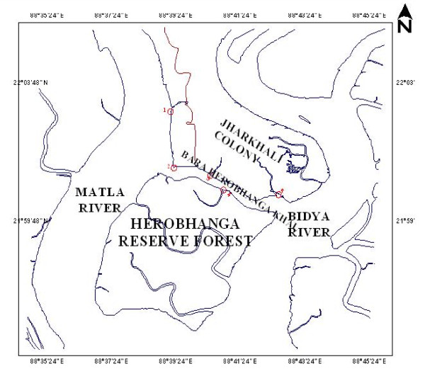 Dynamics of Sundarban estuarine ecosystem: eutrophication induced threat to mangroves.