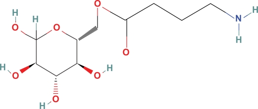 Selected Gamma Aminobutyric Acid (GABA) Esters may Provide Analgesia for Some Central Pain Conditions.