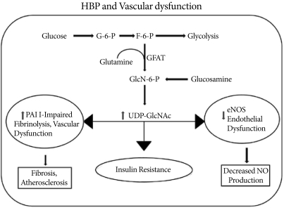 O-GlcNAc Modification: Friend or Foe in Diabetic Cardiovascular Disease.