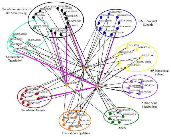 Chemical-genetic profile analysis of five inhibitory compounds in yeast.