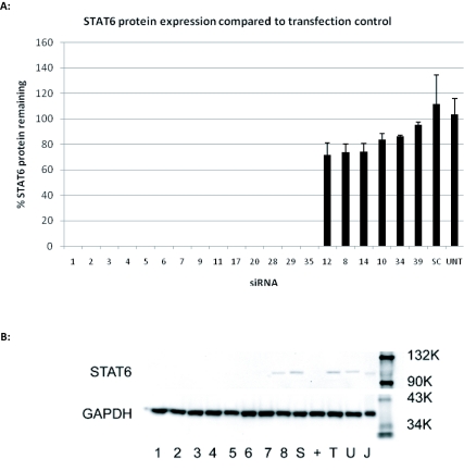 Identification of small interfering RNA targeting Signal Transducer and Activator of Transcription 6: Characterisation and selection of candidates for pre-clinical development.