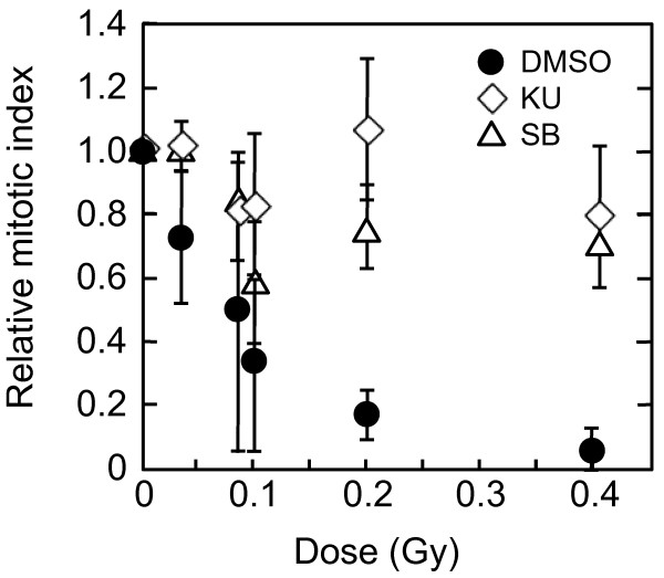 Image-based quantitative determination of DNA damage signal reveals a threshold for G2 checkpoint activation in response to ionizing radiation.