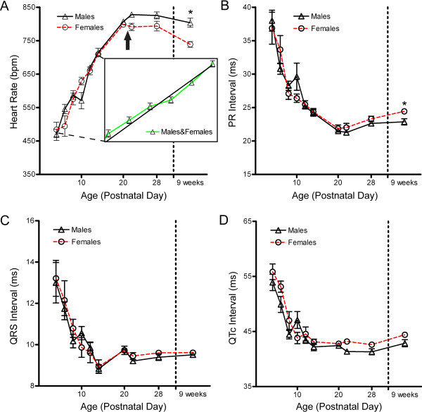 Development of electrocardiogram intervals during growth of FVB/N neonate mice.