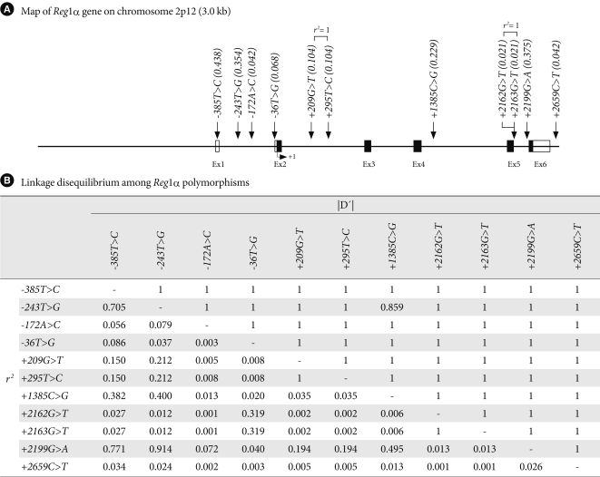 Polymorphisms of the reg1α gene and early onset type 2 diabetes in the korean population.