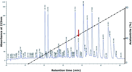 A novel bioactive peptide from wasp venom.