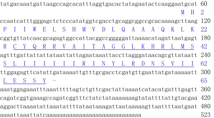 A novel bioactive peptide from wasp venom.