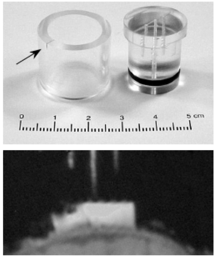 A frameless stereotaxic MRI technique for macaque neuroscience studies.